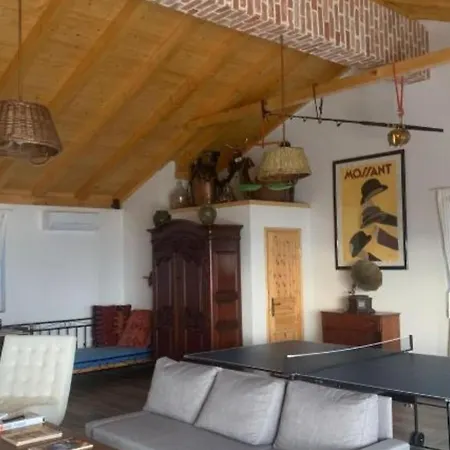 Panda Villa Pašman